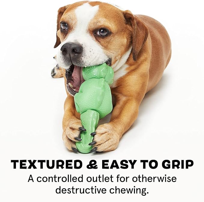 Barkbox Super Chewer Tough Dog Chew Toys for Aggressive Chewers, Dental Stimulating (Iguana - Large) - PAWPICO