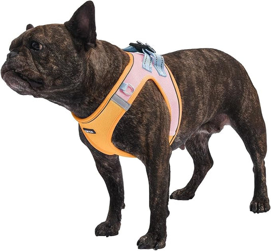 AMTOR Small Dog Harness with Leash Set, No Escape Easy Walk Puppy Harnesses for Training Walking, Step-in Reflective Soft Dogs Vest for XS S Medium Extra-Small Large Sized Dog(Orange) AMTOR