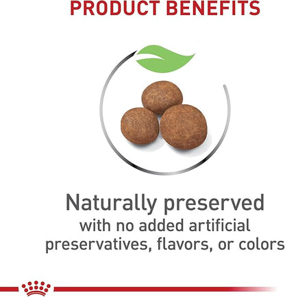 Royal Canin Size Health Nutrition Dry Large Breed Puppy Food, Supports Brain Development, Immune Support and Digestive Health, 30 lb Bag - PAWPICO