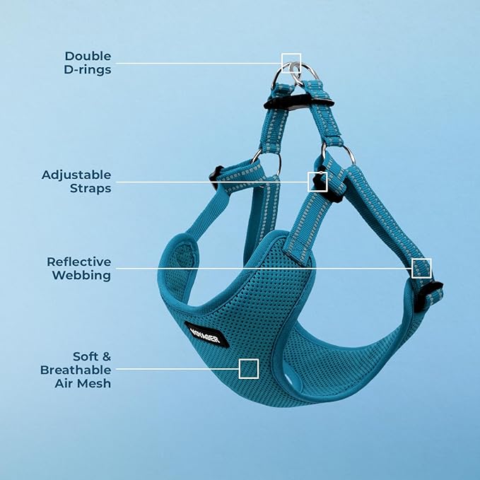 Best Pet Supplies Voyager Adjustable Dog Harness with Reflective Stripes for Walking, Jogging, Heavy-Duty Full Body No Pull Vest with Leash D-Ring, Breathable All-Weather - Harness (Turquoise), S BestPetSuppliesLLC