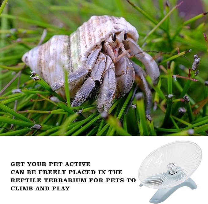 Hermit Crabs Wheel Toy, Hamster Running Wheel Toys, Small Animals Cage Accessory, Tank Accessory, Suitable for Hermit Crab Hamster Rat Oooct