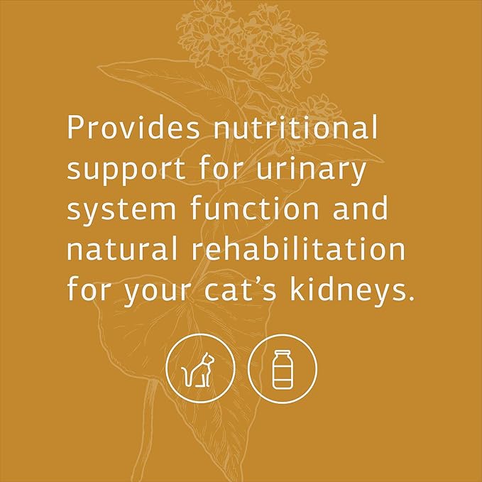 Standard Process Feline Renal Support - Cat Supplement to Support Kidney & Urinary Health - Cat Supplies with Whole Food Ingredients - Feline Supplement for Kidney Function Support - 90 Tablets StandardProcess