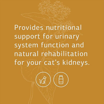Standard Process Feline Renal Support - Cat Supplement to Support Kidney & Urinary Health - Cat Supplies with Whole Food Ingredients - Feline Supplement for Kidney Function Support - 90 Tablets StandardProcess