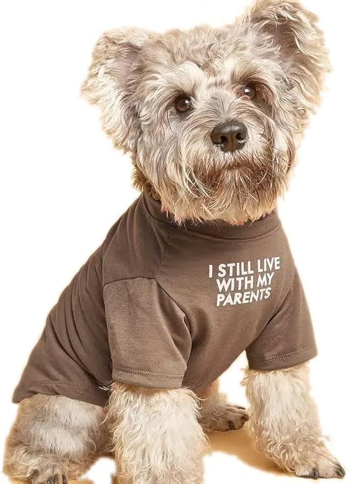 Cute Dog Clothes,Dog T Shirt for Medium Dogs.Dog Clothes for Small Dogs Girl Boy,Puppy.Breathable Soft Dog Costume for Pet Dogs Cats, Pet Pullover Jumper, Cat Clothes (XL-(16~20lb), Chest~20", Khaki) - PAWPICO