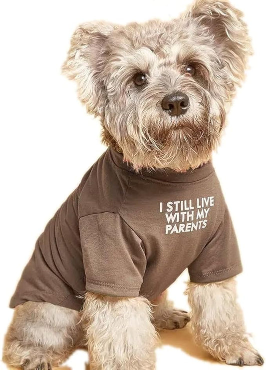 Cute Dog Clothes,Dog T Shirt for Medium Dogs.Dog Clothes for Small Dogs Girl Boy,Puppy.Breathable Soft Dog Costume for Pet Dogs Cats, Pet Pullover Jumper, Cat Clothes (XL-(16~20lb), Chest~20", Khaki) - PAWPICO