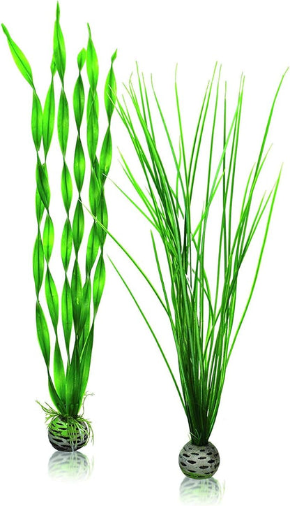 biOrb Large Green Plant Set, Colorful and Durable Aquarium Decorations biOrb