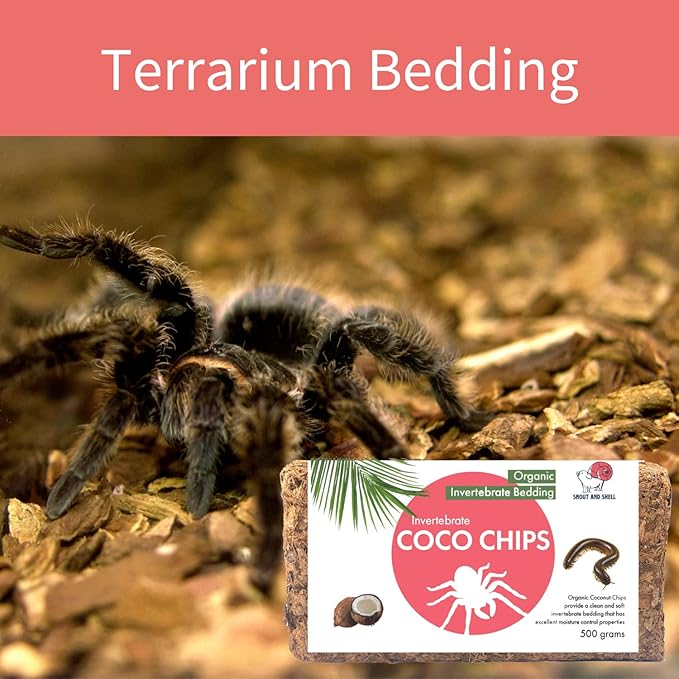 Snout and Shell Organic Invertebrate Coco Chip Bedding Substrate for Tarantulas, Spiders, Millipedes - Natural Habitat for Tunneling, Digging, & Enjoying - 500 Gm SNOUTANDSHELL