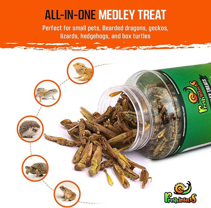 Medley Treat Bearded Dragon Food - Freeze Dried Mealworms, Grasshoppers, Crickets, Quality Tested, Vitamin & Calcium Enriched, Essential Proteins, Fats & Minerals - For Bearded Dragons, Reptiles 2.5oz Freshinsects