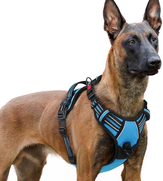 rabbitgoo Dog Harness for Large, No Pull Pet Harness with 3 Buckles, Adjustable Soft Padded Pooch Vest with Instant Control Handle, Easy Walking Reflective Pet Vest for Extra Large Dogs, Sky Blue, XL rabbitgoo