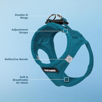 Voyager Step-in Air Dog Harness - All Weather Mesh, Reflective, No Pull Harness for Small, Medium Dogs, Cats - Secure with Hook & Loop Fastener, Buckle, Double D-Rings - Turquoise, M BestPetSuppliesLLC