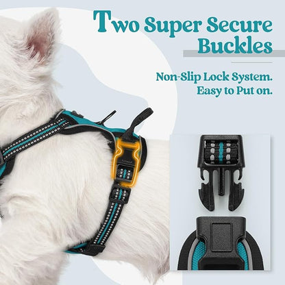 rabbitgoo Dog Harness No Pull with 2 Leash Clips, Adjustable Soft Padded, Reflective Oxford No Choke Pet Vest with Easy Control Handle for Puppy, Teal, XS rabbitgoo
