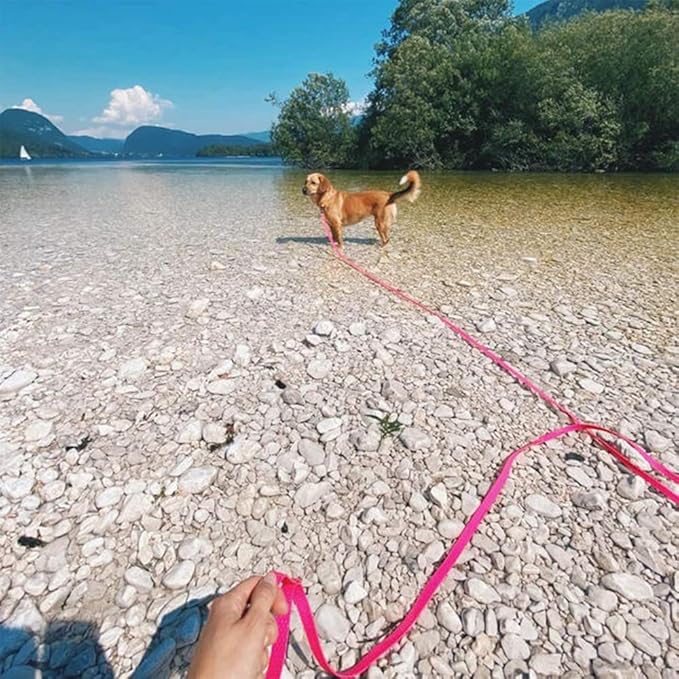 Long Leash Waterproof Training Longline Outdoor Dog Leash Great for Training, Beach, Yard, Play, Camping NIMBLE