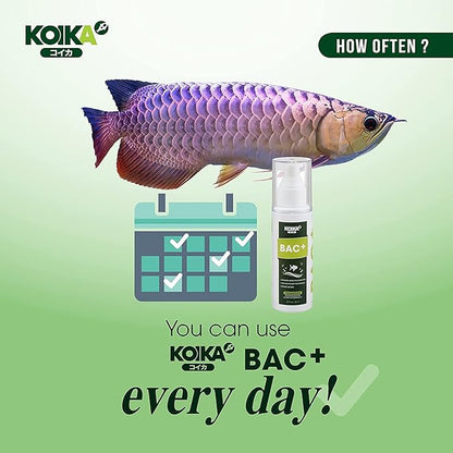 KOIKA BAC+ Aquarium Probiotics, Pleasant Smell, Disease Resistance, Immunity Boosting (BAC+ (New Formula), 105ml) Koika