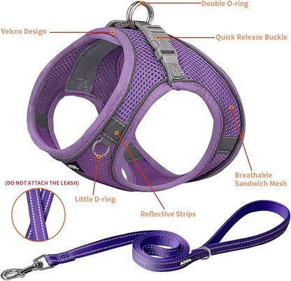 AIITLE Comfortable Dog Harness and Leash Set for Walking - Spring Step in Vest Harness,Reflective Bands, Adjustable No Pull Puppy Essentials, for Small Dogs and House Cats Pure Purple XS AIITLE-FORPETSBETTERLIFE
