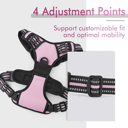 rabbitgoo Dog Harness, No-Pull Pet Harness with 2 Leash Clips, Adjustable Soft Padded Dog Vest, Reflective No-Choke Pet Oxford Vest with Easy Control Handle for Small Dogs, Pink, S - PAWPICO