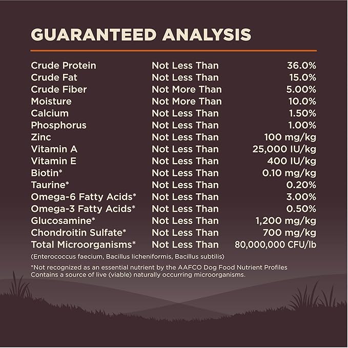 Wellness Natural Pet Food CORE Natural Grain-Free Small Breed Turkey & Chicken Dry Dog Food for Adult Dogs, High-Protein, USA-Made with Real Meat, 12-Pound Bag - PAWPICO