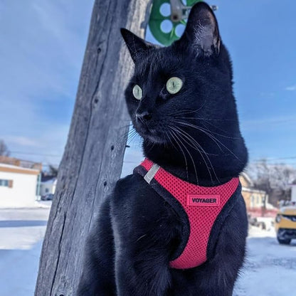 Voyager Step-in Air Dog Harness - All Weather Mesh, Reflective, No Pull Harness for Small, Medium Dogs, Cats - Secure with Hook & Loop Fastener, Buckle, Double D-Rings - Red/Black Trim, XS BestPetSuppliesLLC