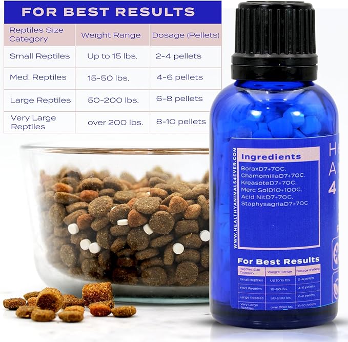 HealthyAnimals4Ever Reptile Oral Health - Natural Support for Mouth Rot, Enhanced Oral Hygiene & Long-Lasting Comfort - Gentle Homeopathic Formula - 300 Count HealthyAnimals4ever