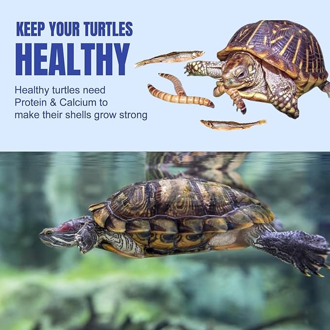 Amzey 2 Pack Aquatic Turtle Food, Vitamin, Enriched Medley Treats of Freeze, Dried Mealworms, River Shrimp & River Fishes, High Protein Turtle Medley Food for Aquatic Tortoise, 3.7 Ounce Total Amzey