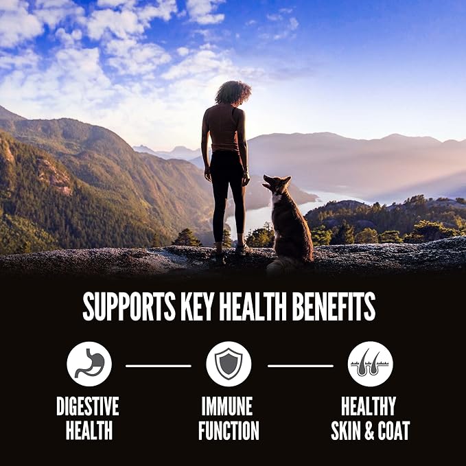 ORIJEN Amazing Grains Original Dry Dog Food, High Protein Dog Food, Fresh or Raw Ingredients - PAWPICO