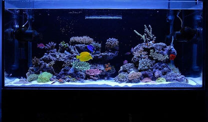 KZKR Aquarium Hood Lighting Fish Tank Light 48-60 inch lamp for Freshwater Saltwater Marine Blue and White Decorations Light 120-150 cm KZKR