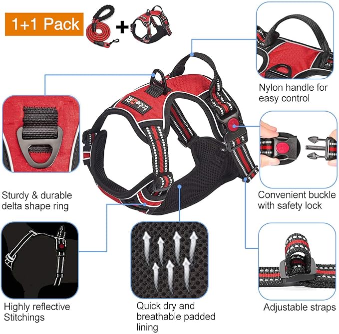 tobeDRI No Pull Dog Harness Adjustable Reflective Oxford Easy Control Medium Large Dog Harness with A Free Heavy Duty 5ft Dog Leash (S (Neck: 13"-18", Chest: 17.5"-22"), Red Harness+Leash) - PAWPICO