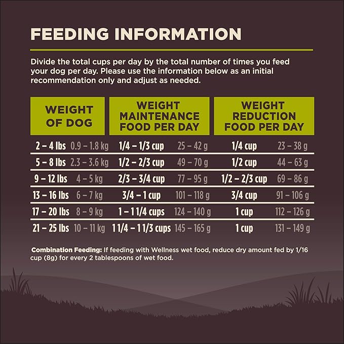 Wellness Natural Pet Food CORE Grain-Free High-Protein Small Breed Dry Dog Food, Natural Ingredients, Made in USA with Real Meat (Adult, Healthy Weight, 12-Pound Bag) - PAWPICO