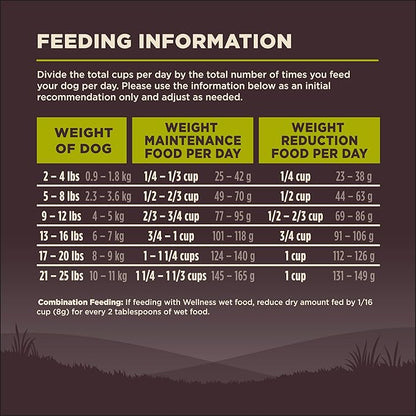 Wellness Natural Pet Food CORE Grain-Free High-Protein Small Breed Dry Dog Food, Natural Ingredients, Made in USA with Real Meat (Adult, Healthy Weight, 12-Pound Bag) - PAWPICO