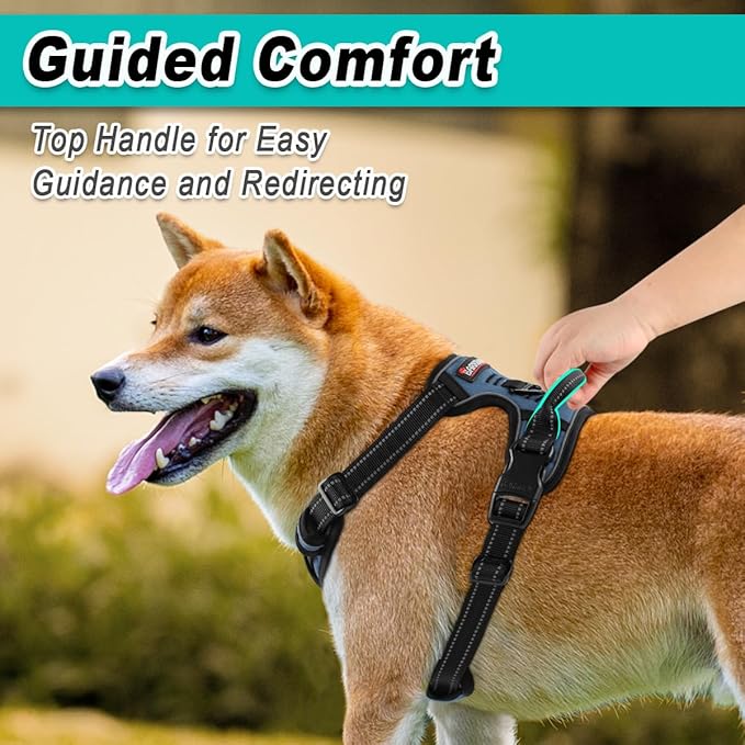 BARKBAY Dog Harness No Pull for Large Dogs - Adjustable, Reflective, Comfortable, No Choke, Heavy-Duty - Perfect for Outdoor Training, Walking, and Hiking - Strong & Durable - XL & Navy BARKBAY