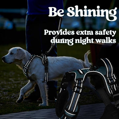 rabbitgoo Dog Harness Medium Sized, No Pull Pet Harness with 3 Buckles, Adjustable Soft Padded Pooch Vest with Instant Control Handle, Easy Walking Reflective Pet Vest for Medium Dogs, Blue Coral, M - PAWPICO