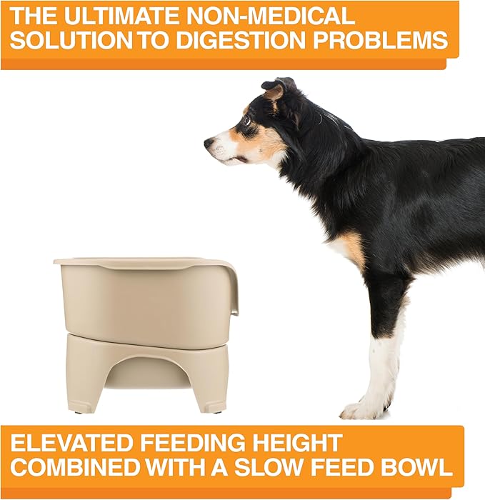 Neater Feeder - Express Model w/ Slow Feed Bowl - Mess-Proof Dog Bowls (M/L, Almond) Made in USA – Elevated, No Spill, Non-Tip, Non-Slip, Raised Stainless Steel Food/Water Pet Bowls Aid Digestion - PAWPICO