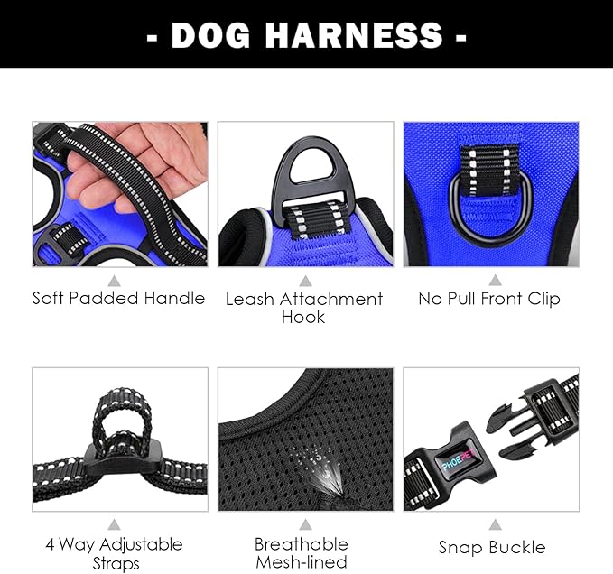 PHOEPET No Pull Dog Harness Medium Reflective Front Clip Vest with Handle,Adjustable 2 Metal Rings 3 Buckles,[Easy to Put on & Take Off](M, Royal Blue) - PAWPICO