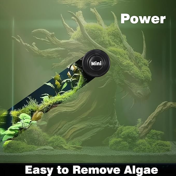 Carefree Fish Aquarium Mini Super Magentic Cleaner Tank Small Algae Scraper Fish Bowl Magnet Brush for Glass Tank 2Pcs No Floating Bewatermyfriend