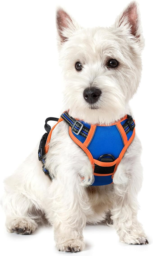 rabbitgoo Dog Harness No Pull with 2 Leash Clips, Adjustable Soft Padded, Reflective Oxford No Choke Pet Vest with Easy Control Handle for Puppy, Blue & Orange, XS rabbitgoo