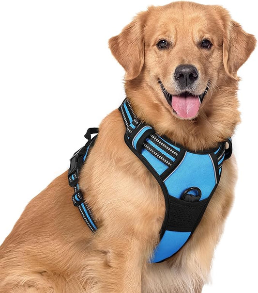 rabbitgoo Dog Harness No Pull with 2 Leash Clips, Adjustable Soft Padded, Reflective Oxford No Choke Pet Vest with Easy Control Handle for Large Dogs, Blue, XL rabbitgoo