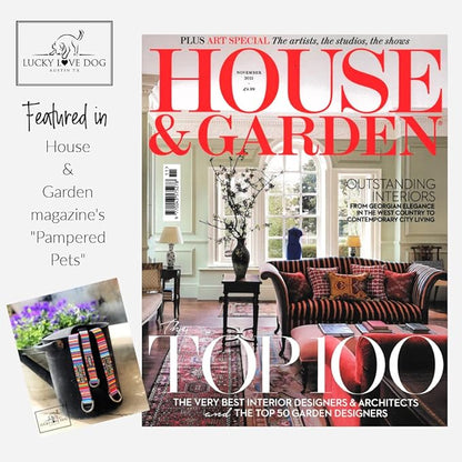 Lucky Love Dog Collar and Leash Combo, Vivid Floral Matching Girl Dog Leash and Collar Set for X-Small Dogs - (CarrieBelle Combo, XS) LuckyLoveDog