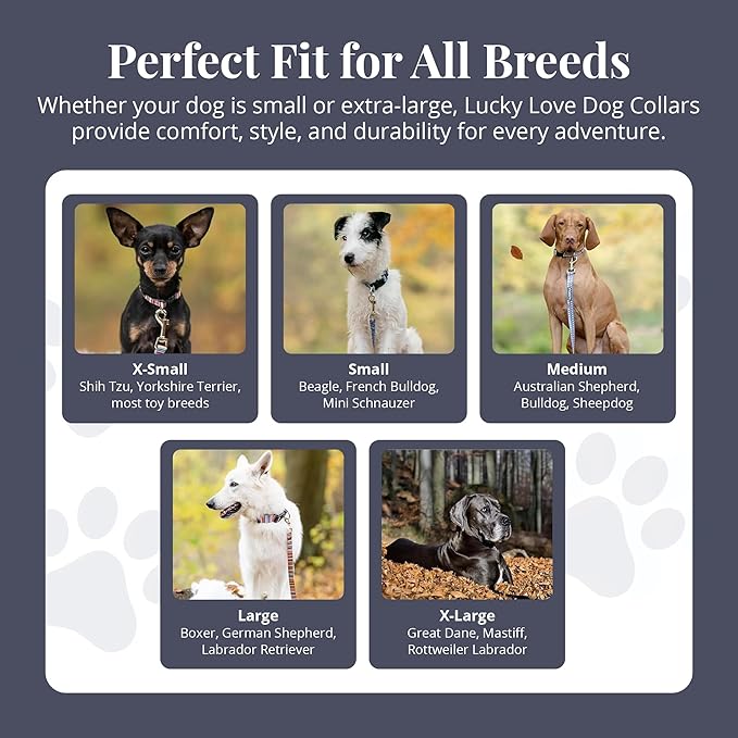 Lucky Love Dog - Adjustable Dog Collar with Easy Click Buckle for Small to Large Dogs, Durable, & Comfortable Collar for Male & Female Dogs, Pet Collar for Puppies & Adult Dogs - Blackbird, Large LuckyLoveDog