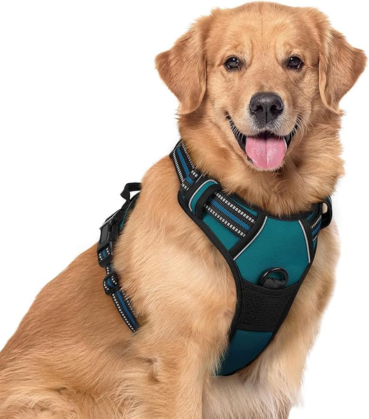 rabbitgoo Dog Harness No Pull with 2 Leash Clips, Adjustable Soft Padded, Reflective Oxford No Choke Pet Vest with Easy Control Handle for Large Dogs, Blue Coral, XL rabbitgoo