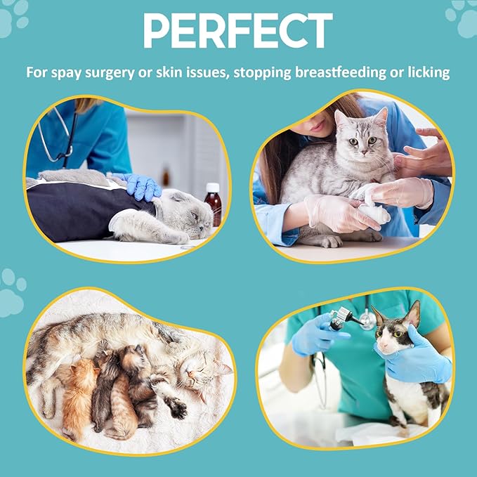 Avont Cat Recovery Suit - Post-Surgery Onesie for Cats, Alternative to Cone of Shame, Protective Spay Suit for Female Kitten, Ideal for Healing and Skin Conditions -Orange(L) Avont