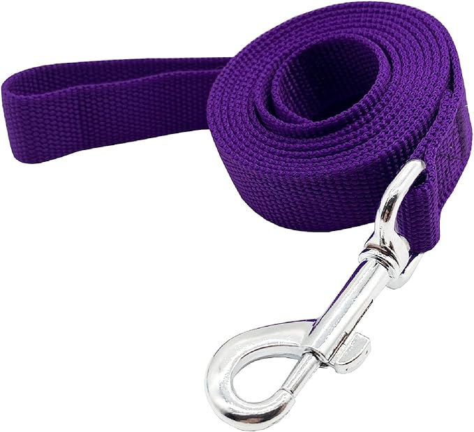 Nylon Dog Training Leash, Traction Rope, 4/5/6 Feet Long, 3/4 Inch 1 Inch Wide, for Small and Medium Dogs (1'' x 4 FT, Purple) TAIDA