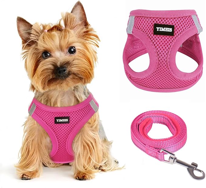 Dog Harness for Small Dogs, Small Dog Harness and Leash Set, Honeycomb Grid, Reflective Lightweight Harness & Anti-Twist Pet Lead,Dog Harness(Multi Color, Size: XS-S-M) (M, Rose red) PAWPICO