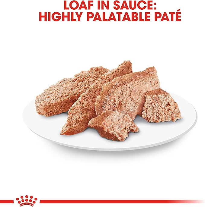 Royal Canin Poodle Adult Breed Specific Wet Dog Food, 3 oz can 4-pack - PAWPICO