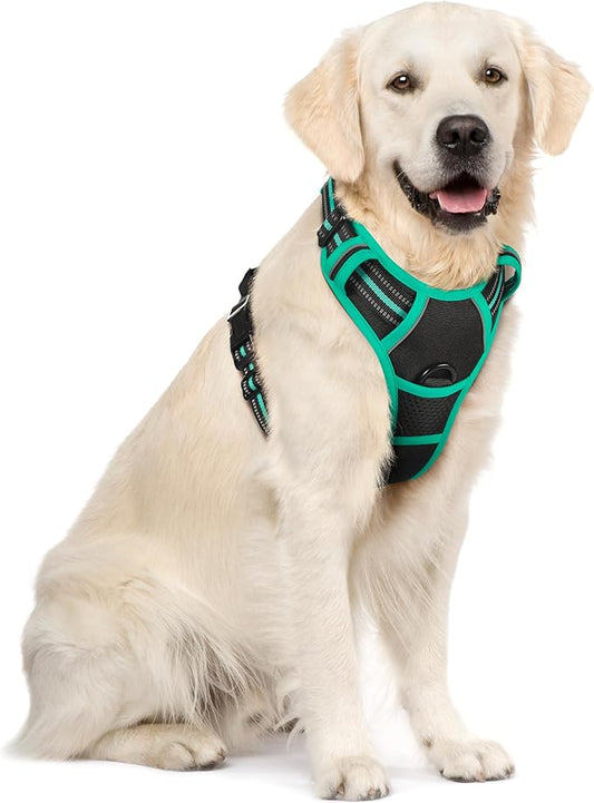 rabbitgoo Dog Harness No Pull with 2 Leash Clips, Adjustable Soft Padded, Reflective Oxford No Choke Pet Vest with Easy Control Handle for Large Dogs, Black & Turquoise, XL rabbitgoo