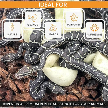 ReptiChip Reptile Bedding Loose Coconut Chip 12 Quart Coco Husk Substrate Mulch for Snake Habitat, Ball Python Terrarium, Turtle Tanks, Tortoise Enclosure ReptiChipPremiumSubstrate