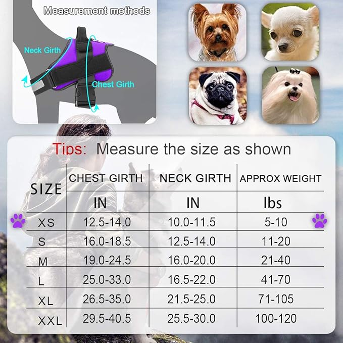 Bolux Dog Harness, No-Pull Reflective Dog Vest, Breathable Adjustable Pet Harness with Handle for Outdoor Walking - No More Pulling, Tugging or Choking (Purple, XS) Bolux