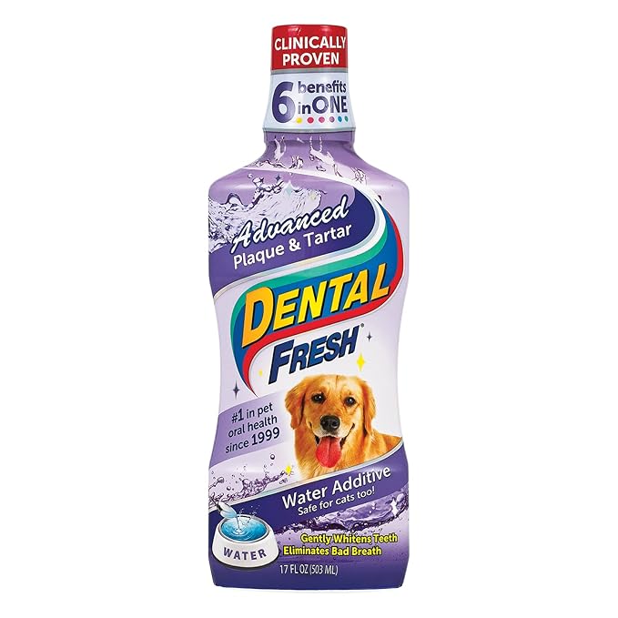 Dental Fresh Advanced Plaque and Tartar Water Additive, 17oz – Dog Teeth Cleaning Formula to Freshen Breath and Improve Overall Oral Health DentalFresh