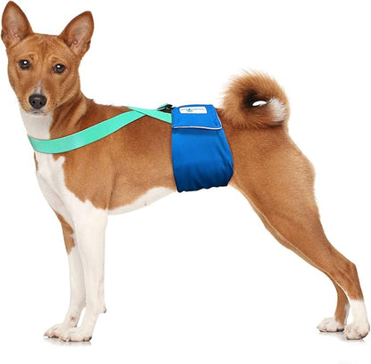 Paw Inspired Dog Diaper Suspenders with Velcro Fasteners | Stretchy Adjustable Suspenders for Female and Male Disposable and Washable Diapers | Fits Small, Medium and Large Size Pets (M/L, Aqua) - PAWPICO