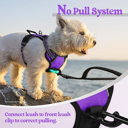 rabbitgoo Dog Harness No Pull with 2 Leash Clips, Adjustable Soft Padded, Reflective Oxford No Choke Pet Vest with Easy Control Handle for Puppy, Purple,XS rabbitgoo