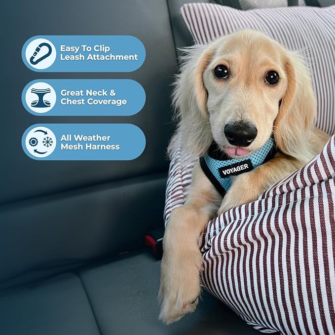 Voyager Step-In Air Dog Harness - All Weather Mesh, Reflective, No Pull Harness for Small, Medium Dogs, Cats - Secure with Hook & Loop Fastener, Buckle, Double D-Rings - Baby Blue/Black Trim, XXXS BestPetSuppliesLLC
