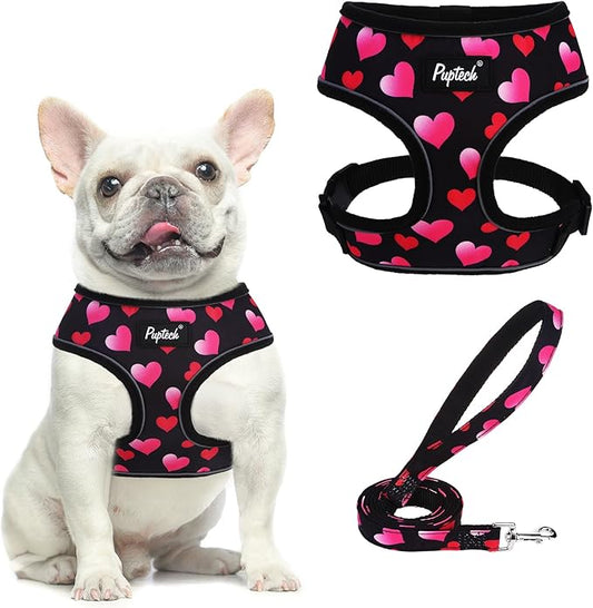 PUPTECK Soft Mesh Dog Harness and Leash Set Pet Puppy Cat Comfort Padded Vest No Pull Harnesses Valentine, Black&Pink, M PUPTECK